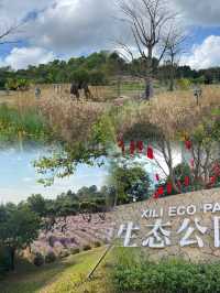 親子共度美好時光，盡在西麗生態公園