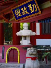 南山大佛親測詳遊攻略，靜心祈福好運常在