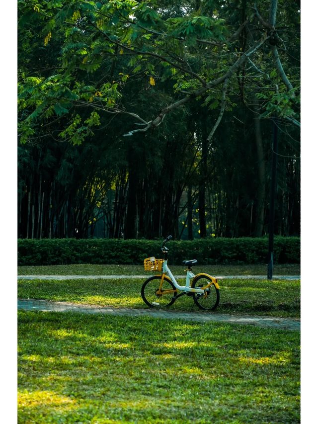 廣州春季露營·戶外野餐賞日落的免費公園推薦！