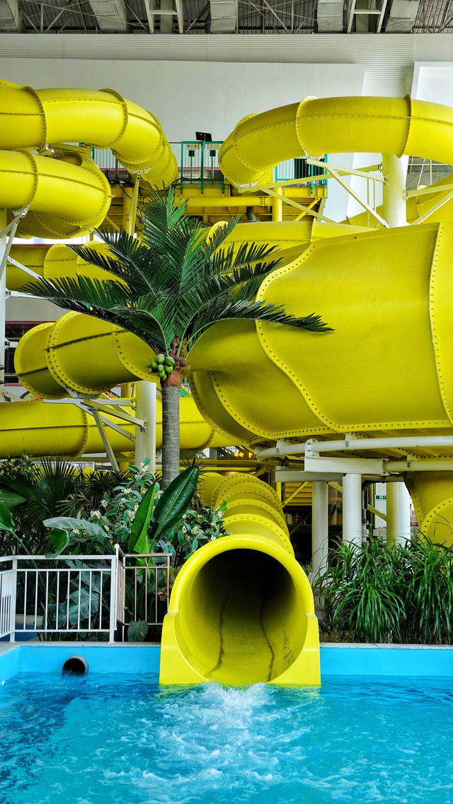 Wendu Water City | The ceiling of Beijing Water Park, filled to the brim with summer ambiance.