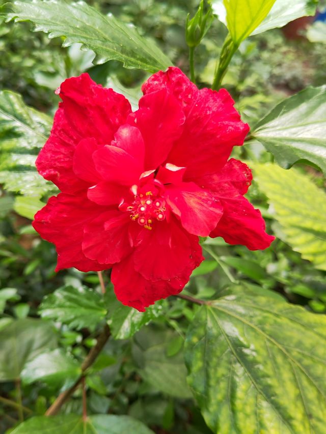 蘭陵國家蔬菜公園 一站式遊玩好去處 推薦打卡！