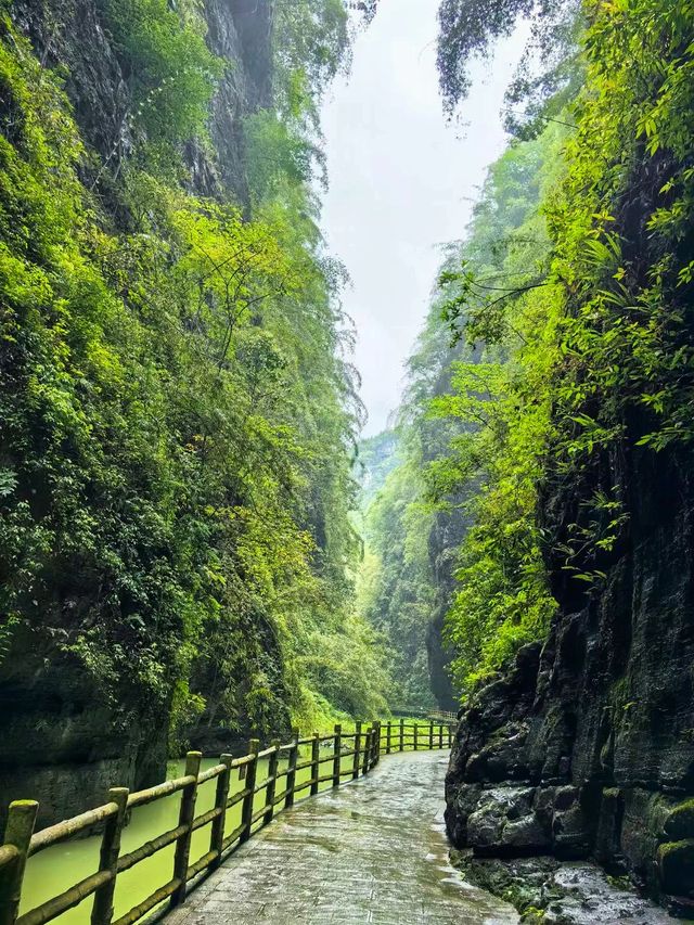 重慶｜你玩得可真花啊！探幽青龍谷+ 筏游阿依河游玩攻略