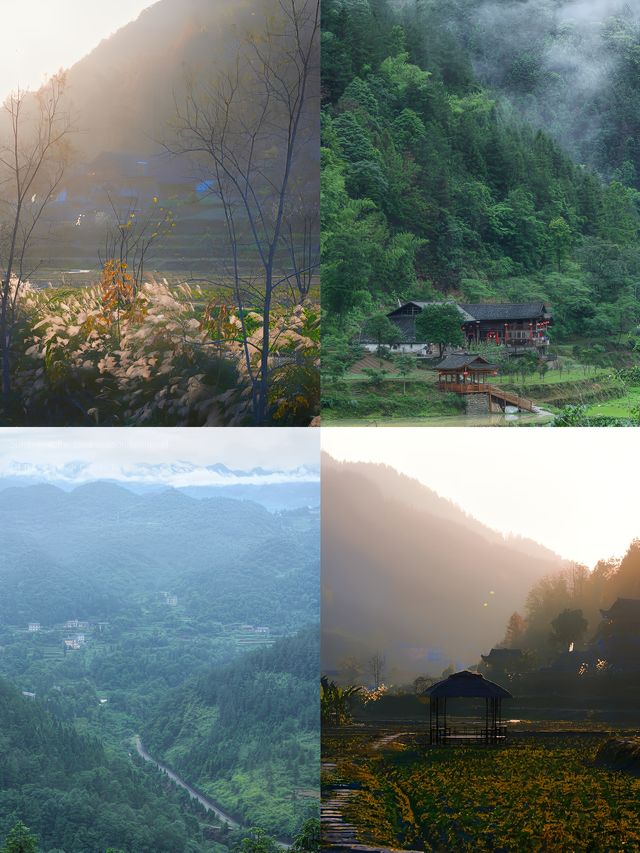 最令人驚喜的是那一望無際的茶園