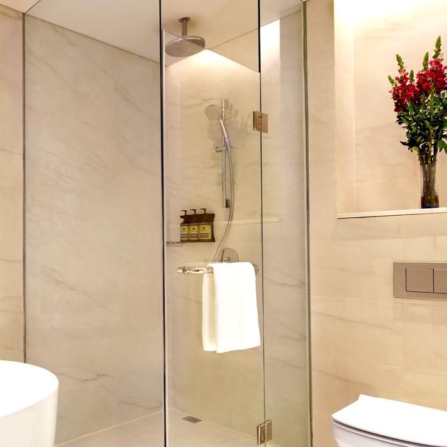 Momentus Hotel Alexandra一應俱全的星級酒店