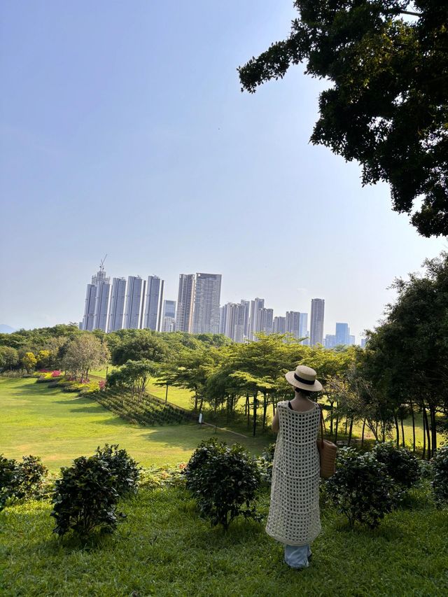 必去！不花錢！深圳公園天花板！