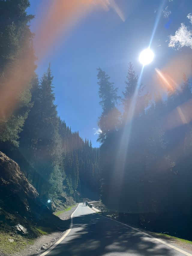 不需要去北方，湖南也能看到高山草甸！