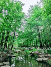 寧波日湖公園，亮點紛呈，值得一去再去