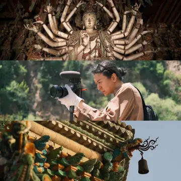 Just four days, a complete guide to ancient architecture in Shanxi (Southern Shanxi edition)