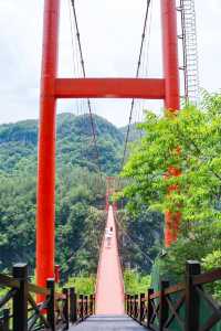 這不是川西武漢周邊新晉綠野仙蹤