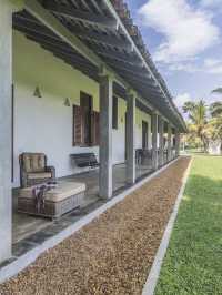 🌴🛏️ Sri Lanka's Serene Stay: Frangipani Tree! 🏖️