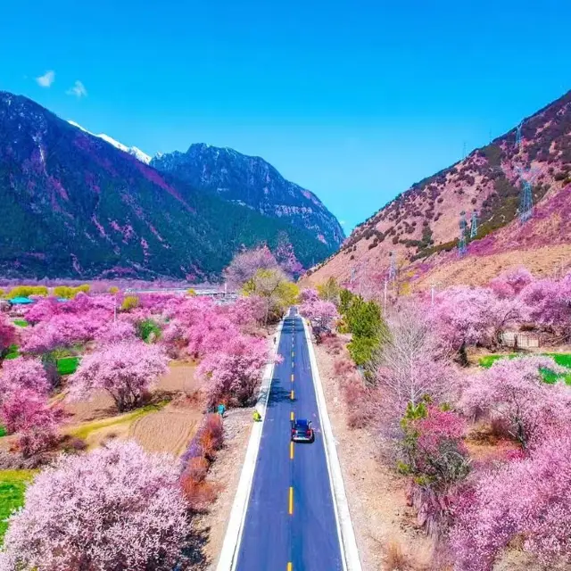 One must visit Tibet at least once in their lifetime.