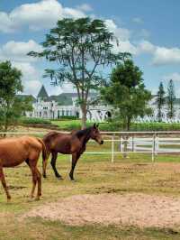🏰✨ Enchanting Escapes: Mövenpick Khao Yai 🌄🛌