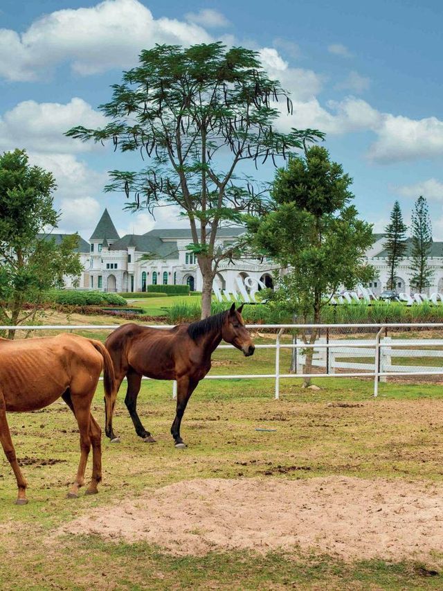 🏰✨ Enchanting Escapes: Mövenpick Khao Yai 🌄🛌