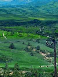 直到看見雪山與花海同框,才明白格聂有多美