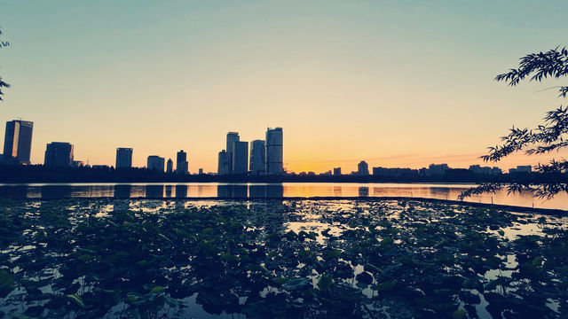 玄武湖畔，黃昏如畫，醉美時光悄然綻放！