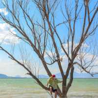 逃離北京|打工人挑戰週末旅遊第1站懷來