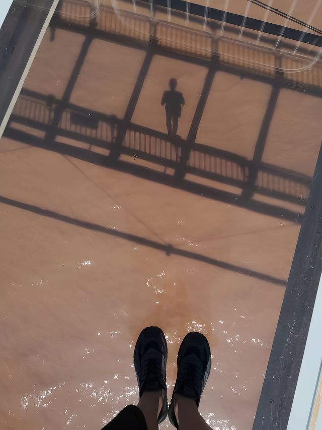 沙坡頭想玩好必要收藏的攻略