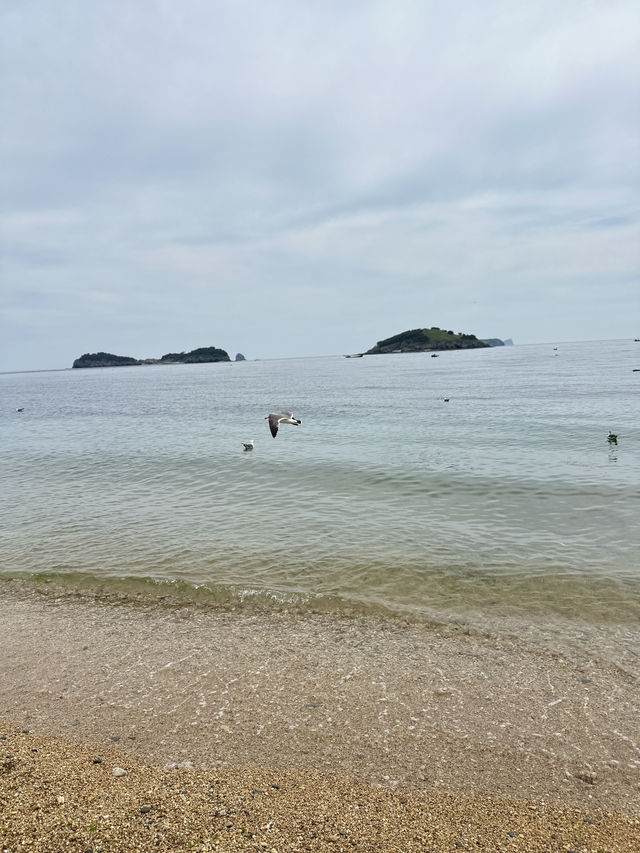 蓮花山海達索道傅家莊大連真的很city 蓮花山海達索道傅家莊大連真的很city