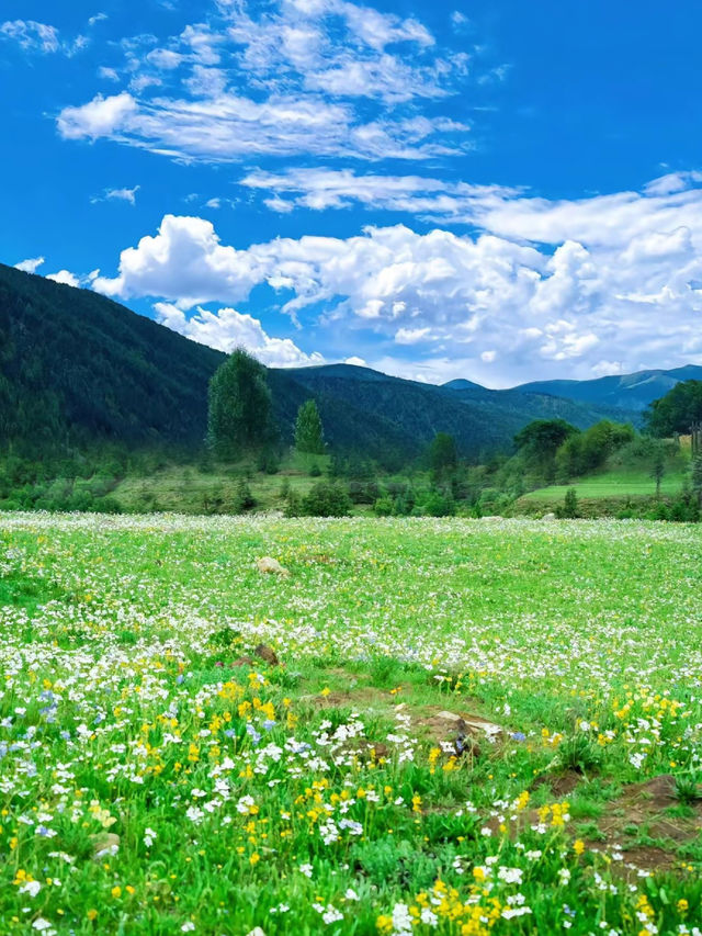 我在新都橋找到了我的寶藏情村！！