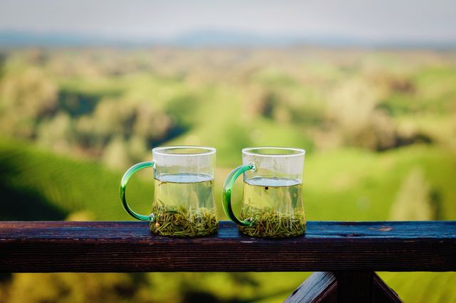 體驗採茶，吹著小風喝喝茶太愜意了