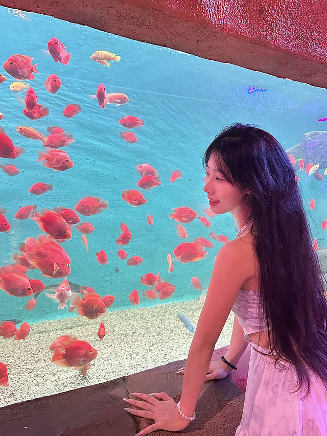 “闖入金魚夢境𓆡𓆝𓆟𓆜”東莞海洋館好好拍…