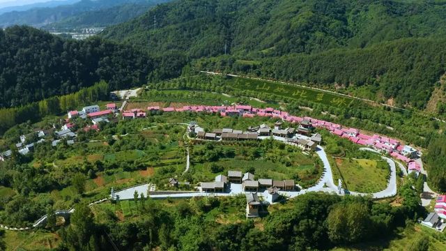 康養青山