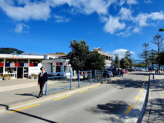 阿卡羅阿 (Akaroa)法式小鎮