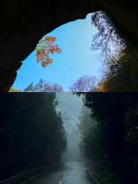人間秘境四洞峽|奇、美、獨、絕的穿洞美景