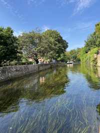 Canterbury is a small town in UK 🇬🇧 check out the nature 🩷