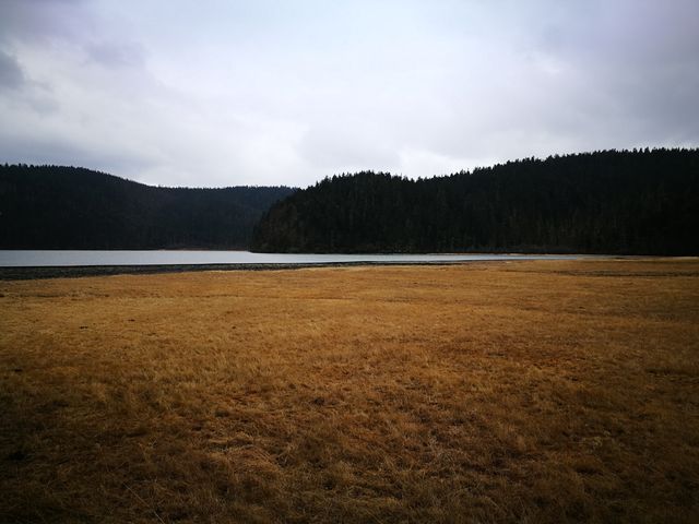 普達措國家公園—全家雲南遊之香格里拉2日