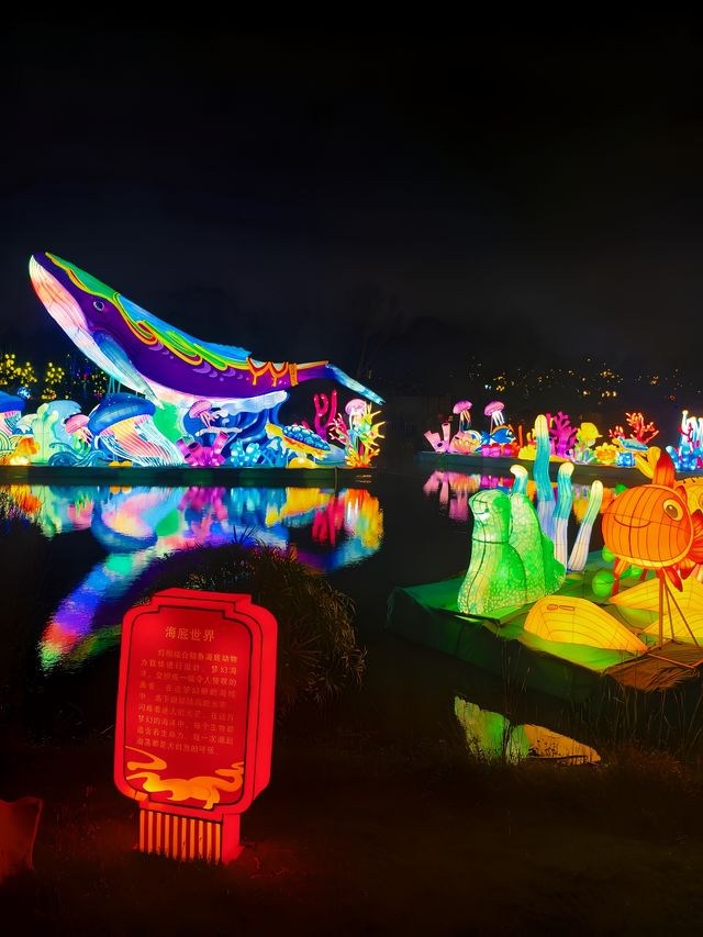 合肥骆岗公園燈會,中秋國慶期間必去景點。