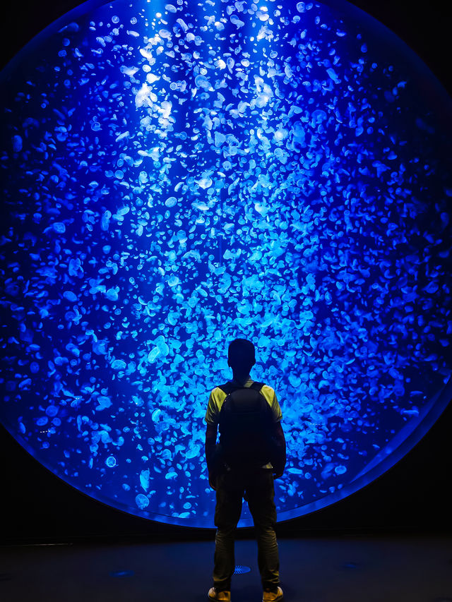加茂水族館到羽黑山｜夏日陸奧千里行【十四】。