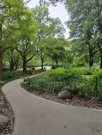上海青年旅舍森林公園 | 城市中的綠野仙境。