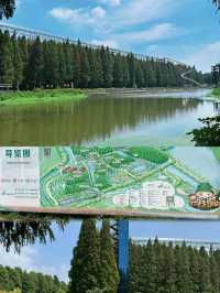 水上森林公園，您沒有來，那可就虧大了。