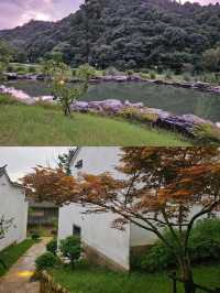 我要向全世界推薦九華山這個住宿。