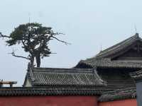 閣院寺文殊殿。