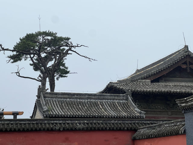 閣院寺文殊殿。