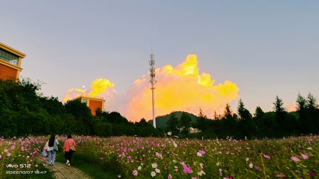 魅力亞庇，水上清真寺的夢幻之約｜馬來西亞沙巴的宗教與自然。