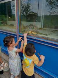 重慶自己的野生動物園您確定不帶孩子來玩嗎？。