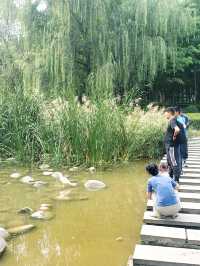 西安有個免費曲江池你去過沒？