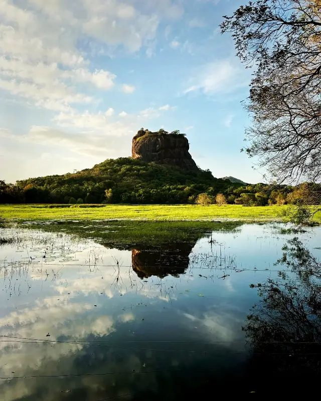 ここに来て、私は非常に驚きました。なんと……。