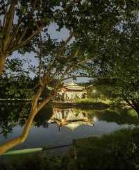 去義烏植物園，去「班味吸氧」。