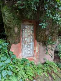 Day trip to the Leshan Buddha from Xi'an