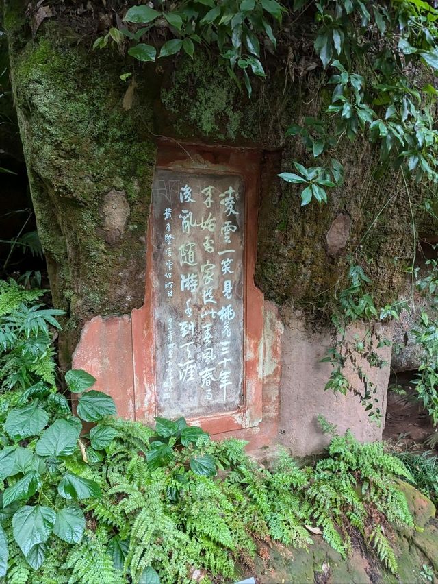 Day trip to the Leshan Buddha from Xi'an