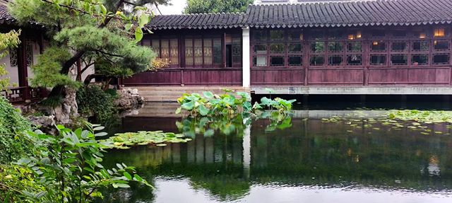 綿綿細雨藝圃行。