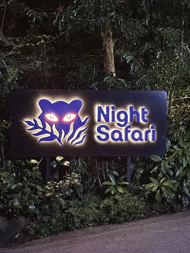 🌌 新加坡夜間野生動物園:夜幕下的野性世界探險