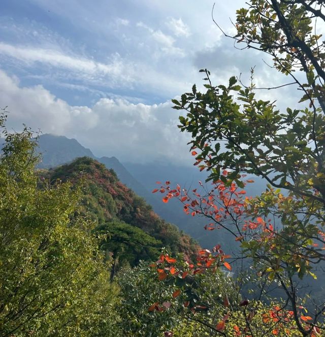 你不宣傳這個地方你糊塗啊！！翠華山·秦嶺終南山真的是「地質。