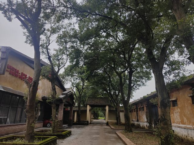 英德紅旗茶廠。