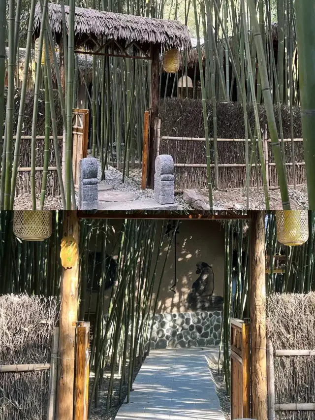保定竹林中泡湯！氛圍感十足～。