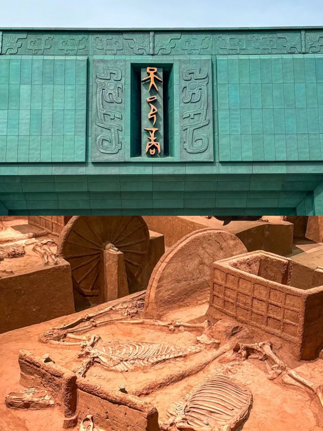 安陽殷墟博物館，新館近3,000件文物首次亮相～。